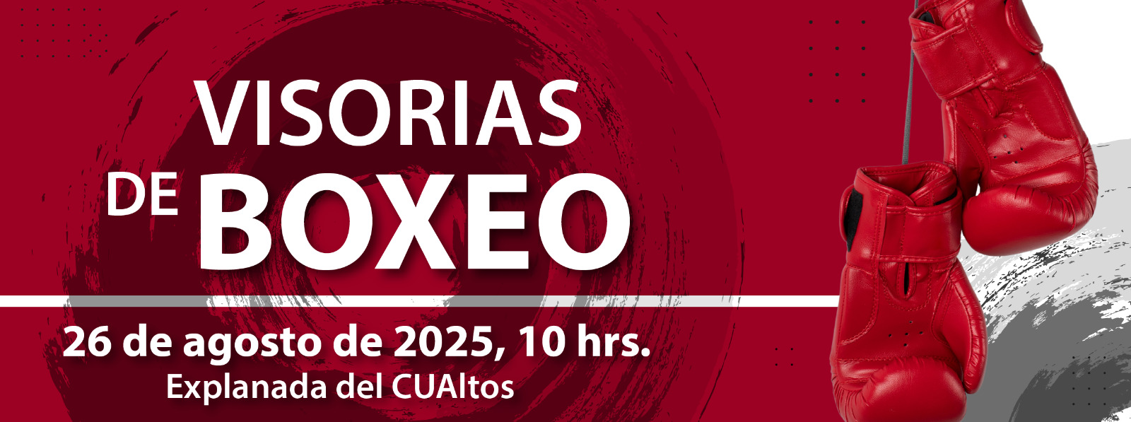 Visorías de Boxeo 