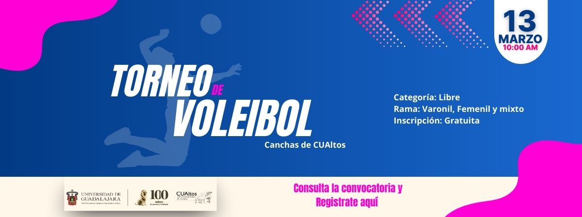 Torneo de Voleibol