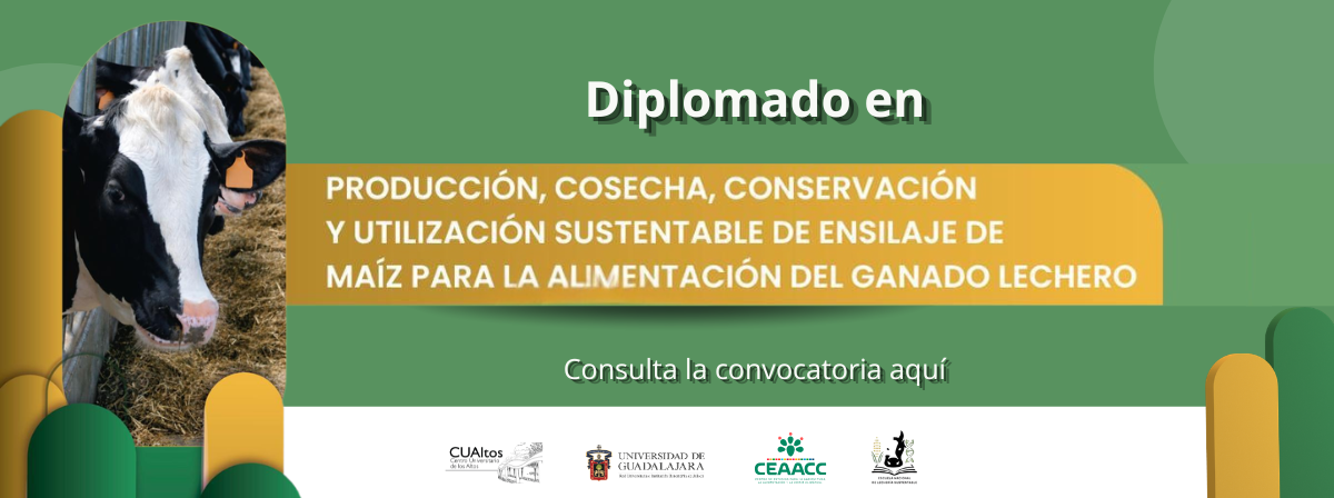 Diplómado en producción, cosecha y conservación y utilización de maíz 