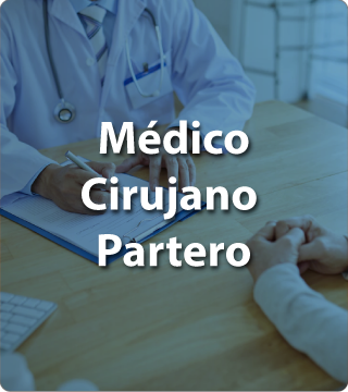 Enlace a Médico Cirujano Partero