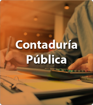 Contaduría Pública