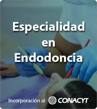 Especialidad en Endodoncia