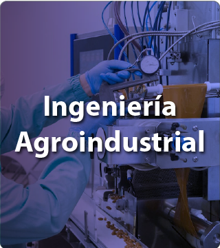 Ingeniería Agroindustrial