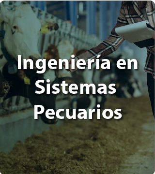 Ingeniería en Sistemas Pecuarios