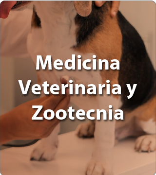 Medicina Veterianaria y Zootecnia