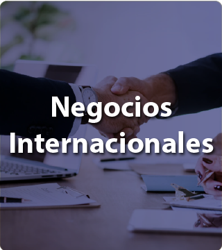 Negocios Internacionales