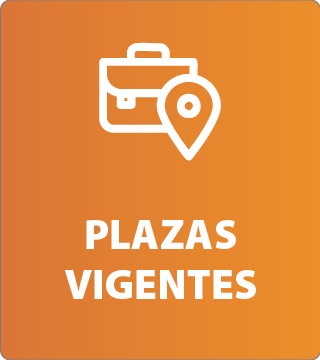 plazas vigentes