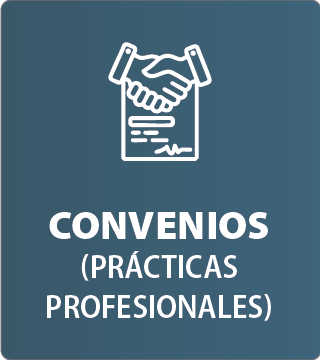 practicas profesionales