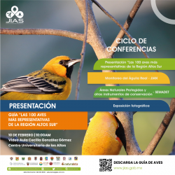 Las 100 aves más representativas de la Región Altos Sur