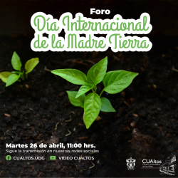 Foro Día internacional de la Madre Tierra