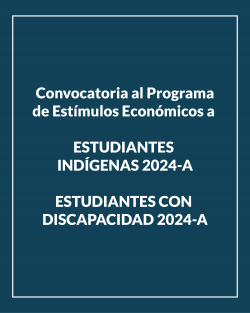 Programas de Estímulos Económicos a Estudiantes