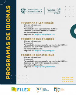 Programas de idiomas