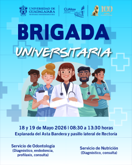 brigada_2026