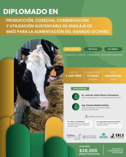 Diplómalo en producción, cosecha, conservación y utilización sustentable de maíz para la alimentación del ganado lechero 