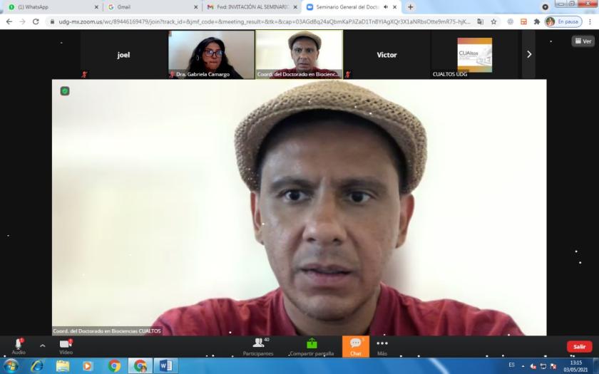 Captura de pantalla de una reunión vía zoom