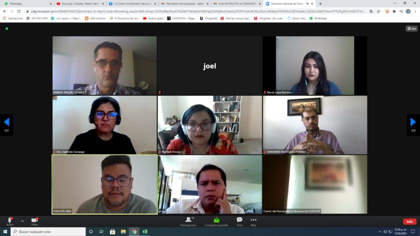 Captura de pantalla de una reunión vía zoom