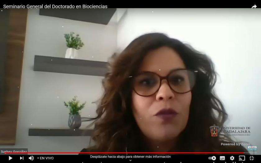 Captura de pantalla de una reunión vía zoom