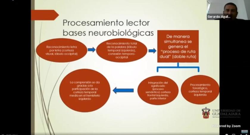 Diapositiva