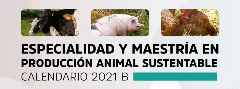 Cartel en el que se lee "ESPECIALIDAD Y MAESTRÍA EN PRODUCCIÓN ANIMAL SUSTENTABLE CALENDARIO 2021 B"