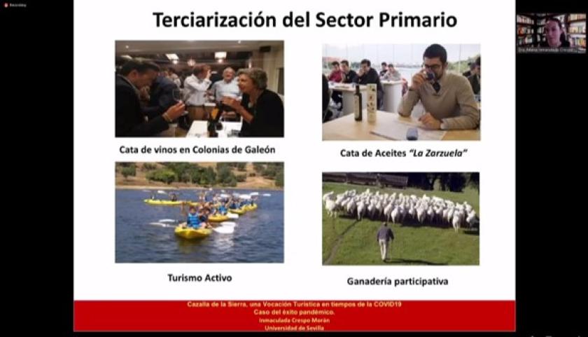 Captura de pantalla de una reunión vía zoom  