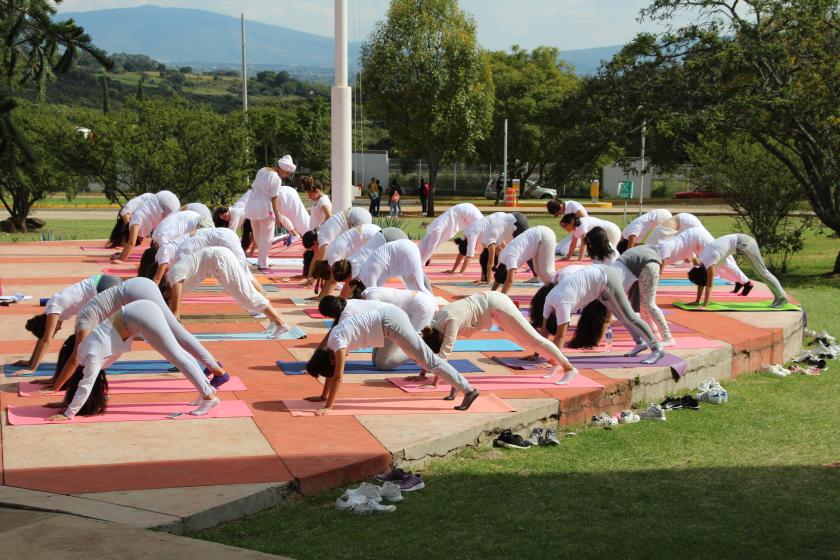 Comunidad universitaria