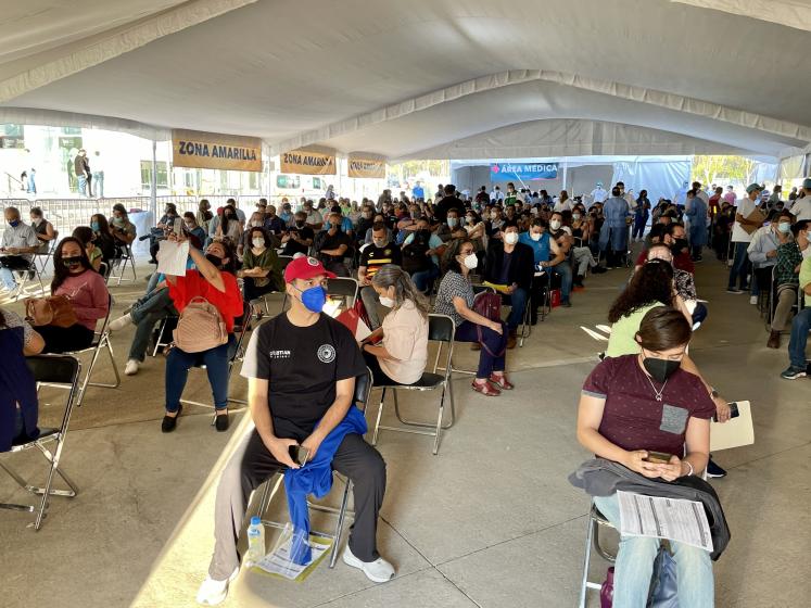 Asistentes del periodo de vacunación.