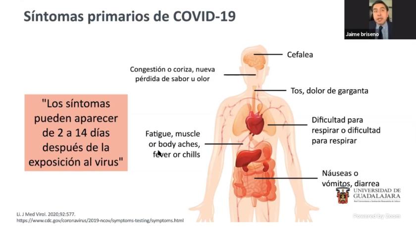 Captura de pantalla de una videollamada en la que se lee "Síntomas primarios de COVID-19".