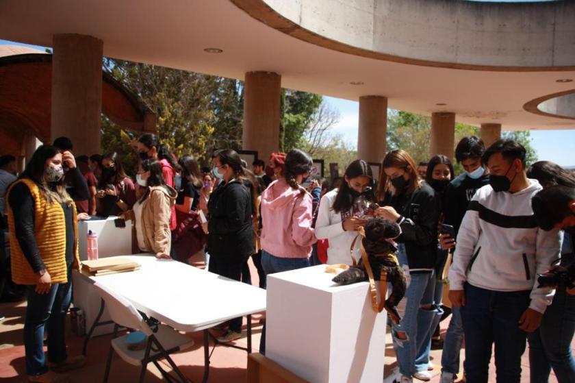 Alumnos en la Feria del Empleo 2022.