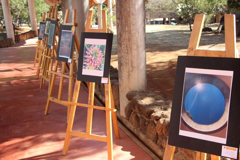 Galería de fotografías.
