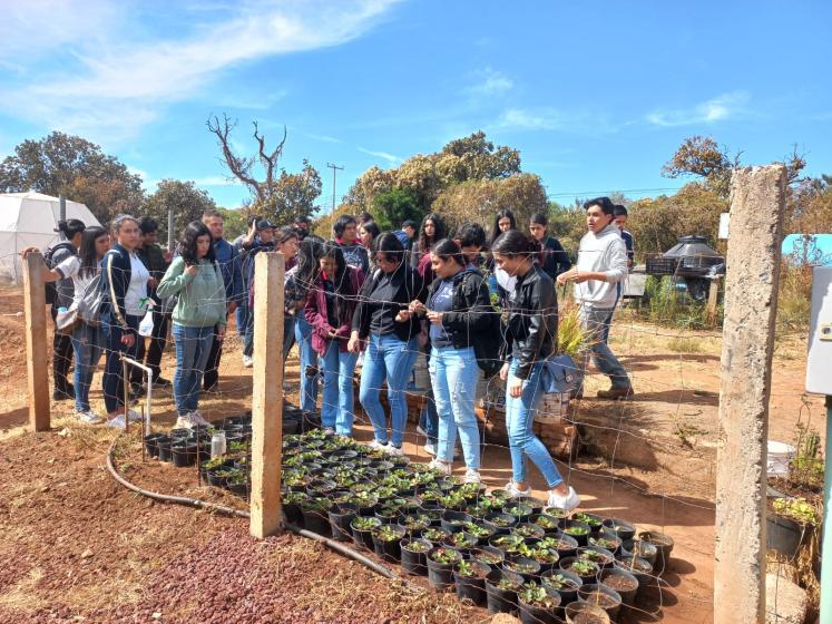 Estudiantes en talleres de CUAltos.