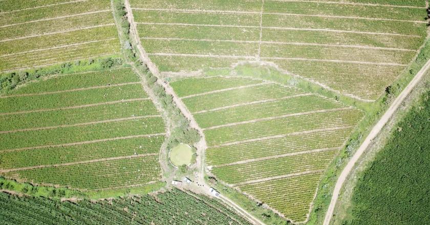 Plano aéreo de campos de siembra.