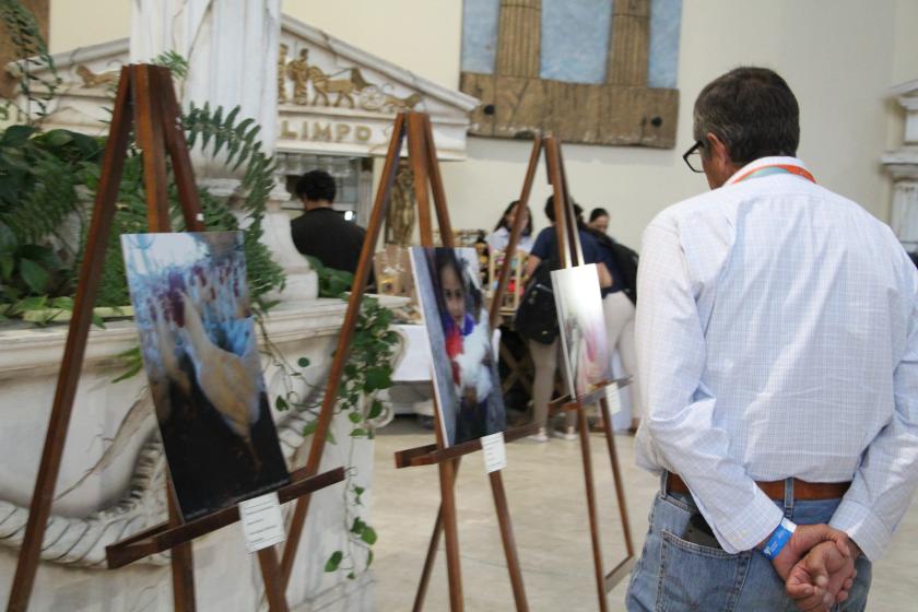 Persona observando una exhibición.