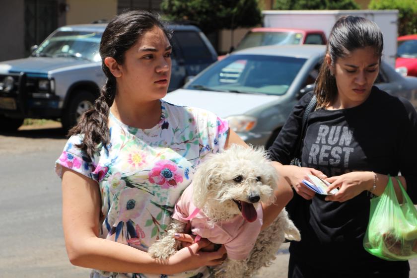 Dueño de la mascota y mascota