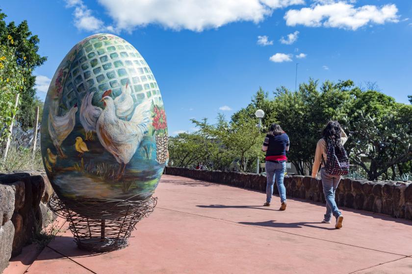 Feria Internacional del Huevo va por récord guinness