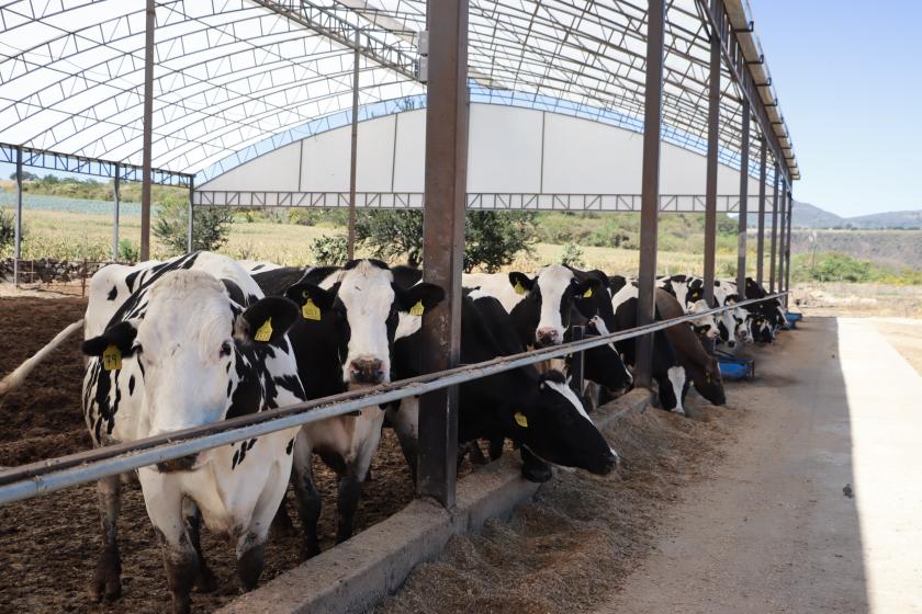 Escuela nacional de lechería sustentable