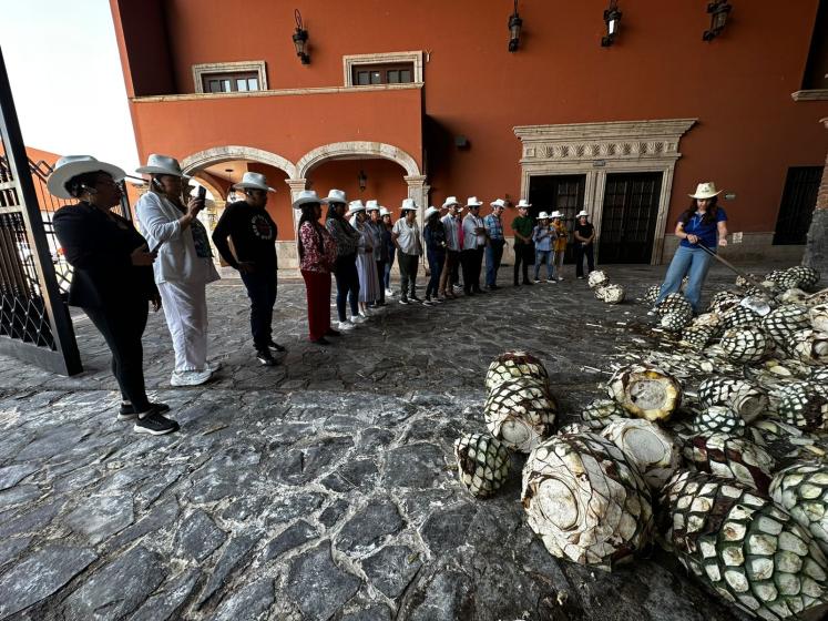 Primera Reunión Ordinaria 2026 de la Asociación Regional de Facultades y Escuelas de Enfermería de la Zona Pacífico (ARFEE Z.P.)