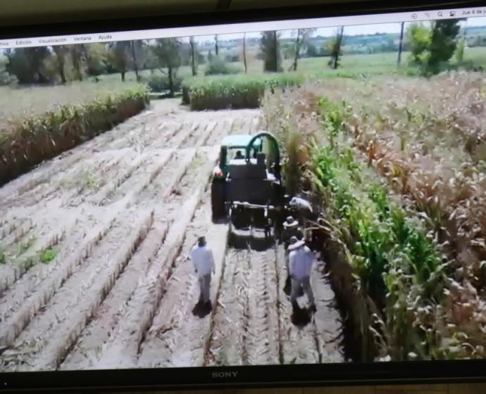 diplomado de ensilaje para mejorar la producción lechera