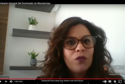 Captura de pantalla de una reunión vía zoom